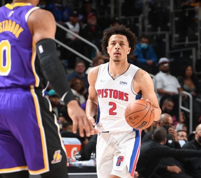 提供指南 提供指南