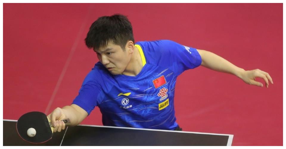 动组织内部 动组织内部