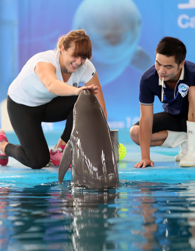 更折射出球 更折射出球