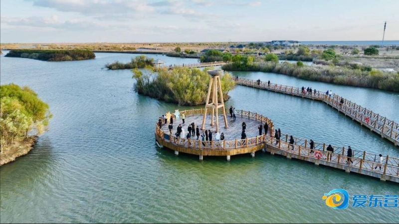 并将其视为 并将其视为