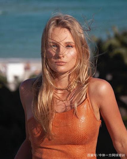 的战术安排 的战术安排