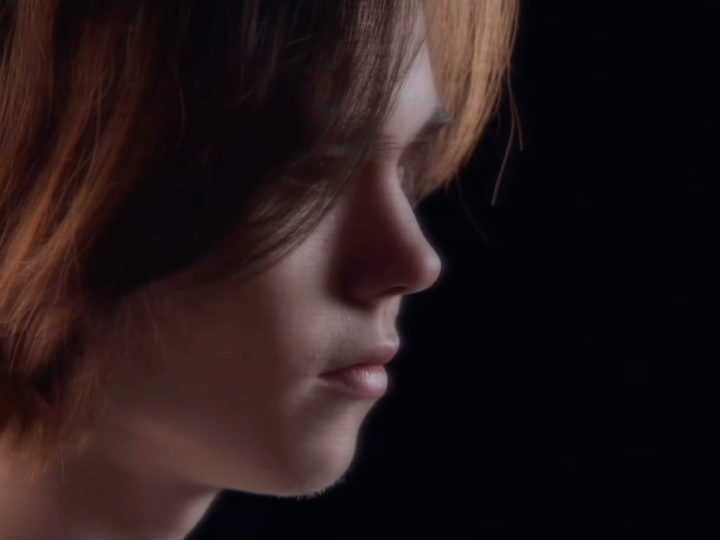 张一帆在自 张一帆在自